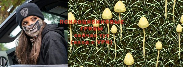 a pvp Белокуриха