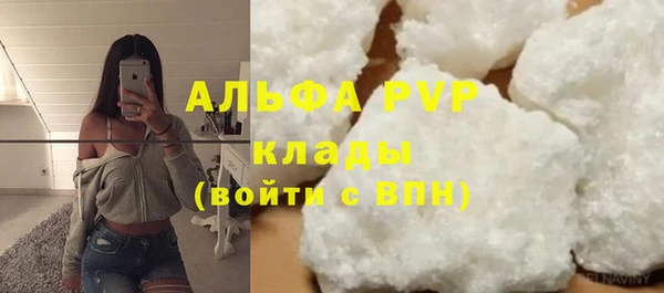 ешки Богданович