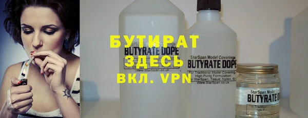 сатива Туринск