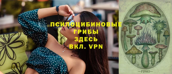 ECSTASY Тында