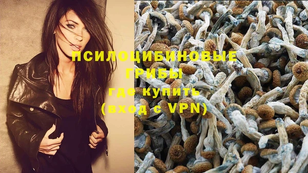 меф Тутаев