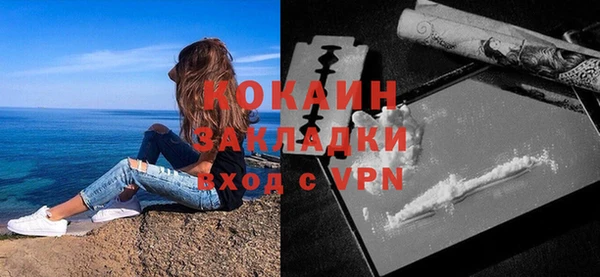 дурь Богородицк