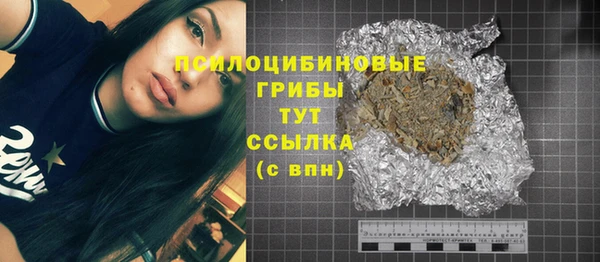 дурь Богородицк