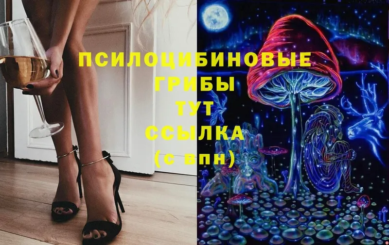 Псилоцибиновые грибы Cubensis  omg вход  Верхотурье 